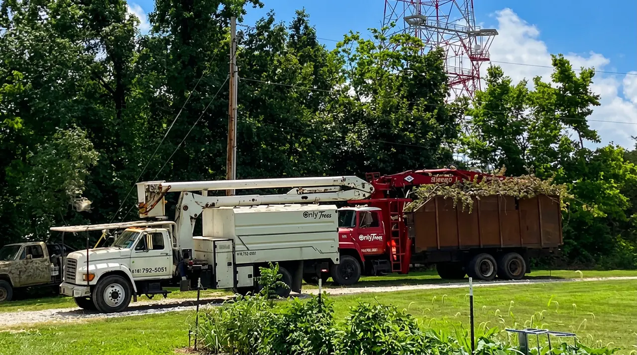 OT Tree Service bucket truck and red debris truck parked beside mature trees