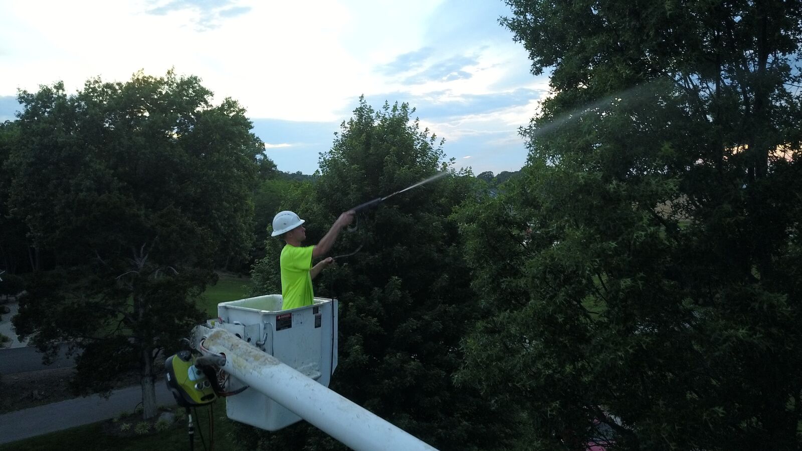 Technician spraying tree treatment from a bucket truck
