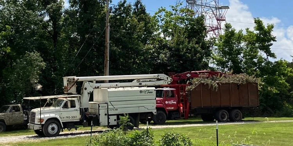 OT Tree Service bucket truck and dump truck fleet parked on a lawn